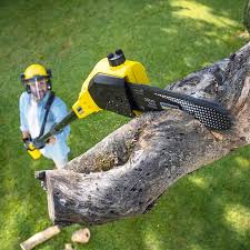  Farmingdale, NJ Tree Care Services Pros